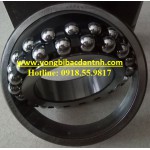 VÒNG BI TRÒN NHÀO 2 DÃY